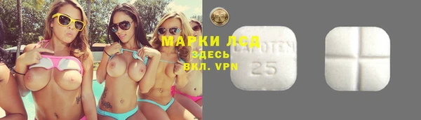 гашик Баксан