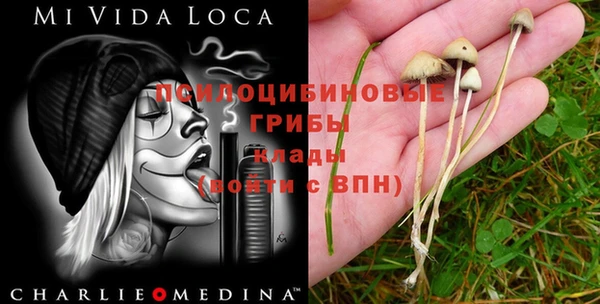 mdpv Балахна